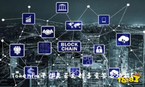 Tokenim平台是否支持多重签名功能？