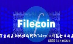 如何查找未知地址向我的Tokenim钱包打币的来源