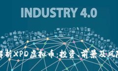 全面解析XPD虚拟币：投资、前景及风险分析