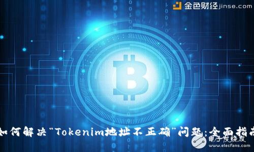 如何解决“Tokenim地址不正确”问题：全面指南