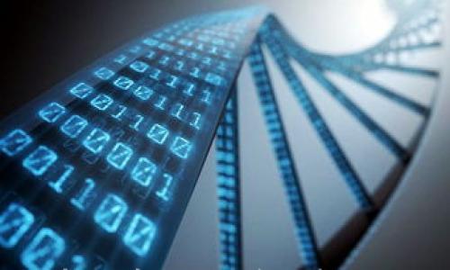 

怎样注册虚拟币公司：详细步骤与注意事项