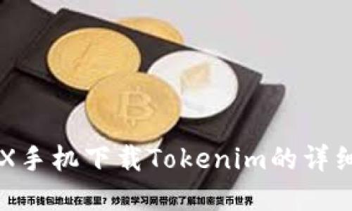 苹果X手机下载Tokenim的详细指南