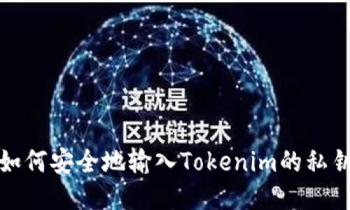 如何安全地输入Tokenim的私钥
