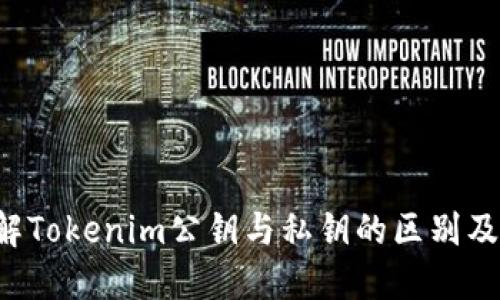  理解Tokenim公钥与私钥的区别及应用