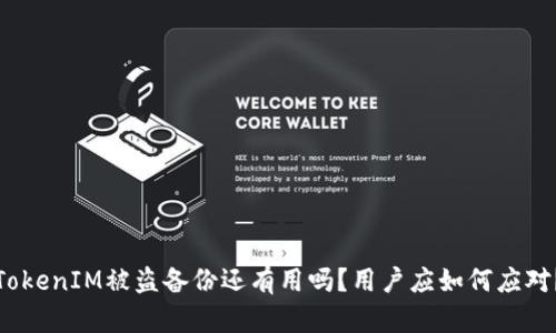 TokenIM被盗备份还有用吗？用户应如何应对？