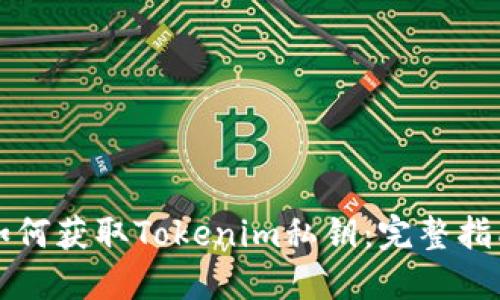 如何获取Tokenim私钥：完整指南