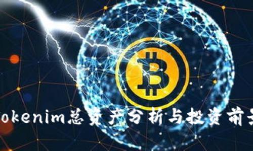 Tokenim总资产分析与投资前景