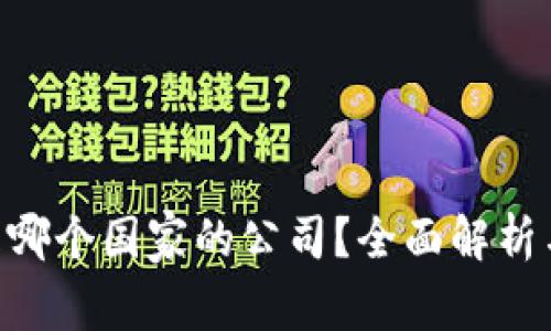 Tokenim是哪个国家的公司？全面解析与发展背景