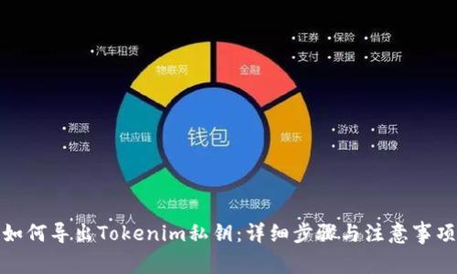 如何导出Tokenim私钥：详细步骤与注意事项