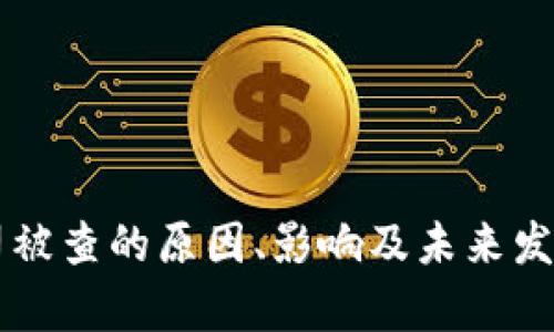 虚拟币公司被查的原因、影响及未来发展趋势分析