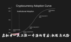 虚拟币一天上涨一千倍的背后：机遇与风险