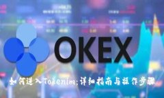 如何进入Tokenim：详细指南与操作步骤