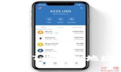 : 如何正确导入TokenIM地址：一步步指南