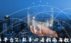 虚拟币平台Z：新手必看指南与投资策略