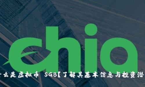 什么是虚拟币 SGB?了解其基本信息与投资潜力