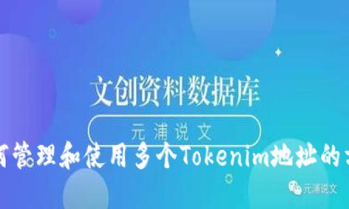 如何管理和使用多个Tokenim地址的方法