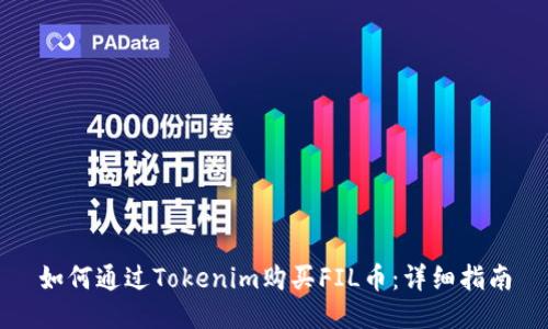 如何通过Tokenim购买FIL币：详细指南