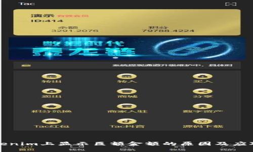 在Tokenim上显示巨额金额的原因及应对方法