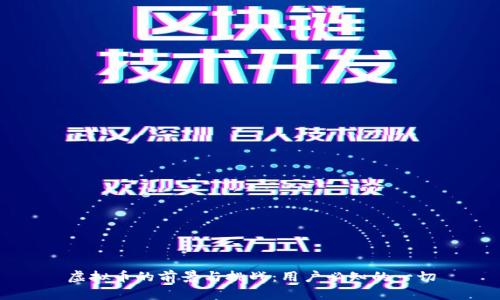 虚拟币的前景与挑战:用户必知的一切