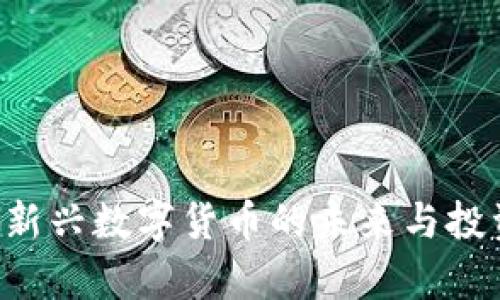 虚拟币AP:新兴数字货币的未来与投资机会分析