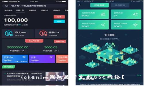 Tokenim钱包是否支持BSC网络？