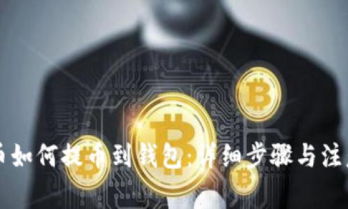 虚拟币如何提币到钱包:详细步骤与注意事项