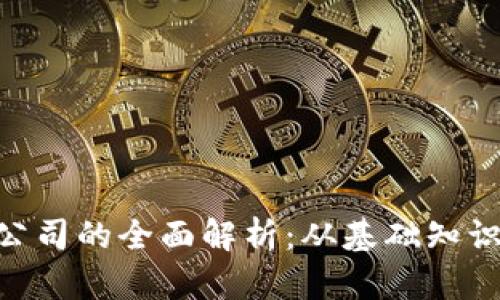 虚拟币POC公司的全面解析：从基础知识到最新动态