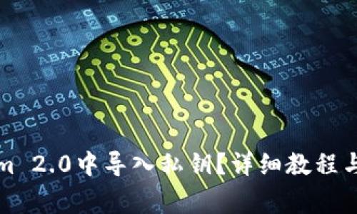 如何在Tokenim 2.0中导入私钥?详细教程与常见问题解答