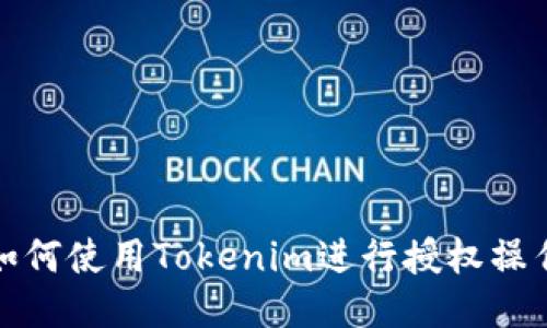 如何使用Tokenim进行授权操作