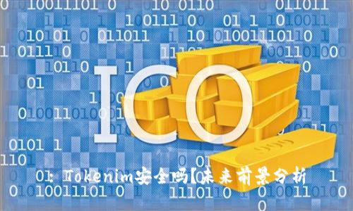 : Tokenim安全吗？未来前景分析