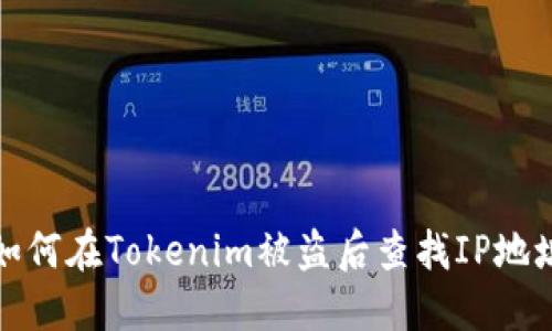 如何在Tokenim被盗后查找IP地址