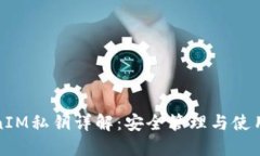 TokenIM私钥详解：安全管理与使用指南
