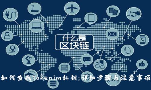 如何查找Tokenim私钥:详细步骤与注意事项