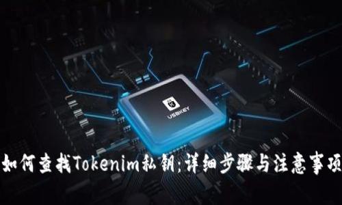 如何查找Tokenim私钥:详细步骤与注意事项