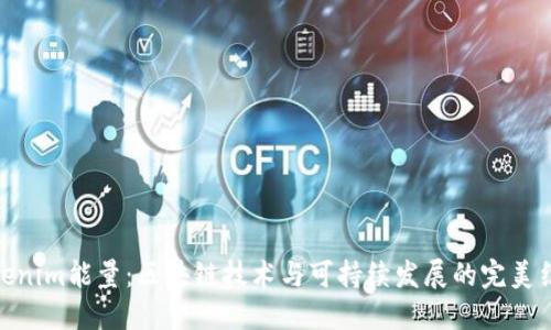 Tokenim能量:区块链技术与可持续发展的完美结合