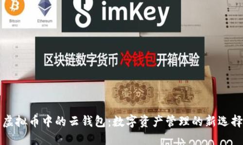 虚拟币中的云钱包:数字资产管理的新选择