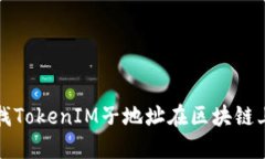 如何查找TokenIM子地址在区块链上的信息