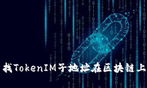如何查找TokenIM子地址在区块链上的信息
