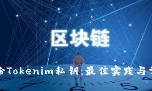 如何安全备份Tokenim私钥:最佳实践与常见问题解答