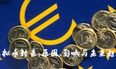 虚拟币封杀：原因、影响与未来趋势