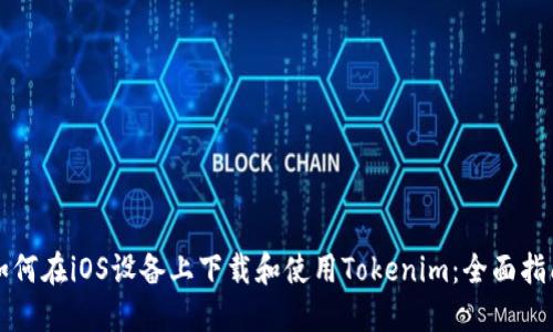 如何在iOS设备上下载和使用Tokenim:全面指南