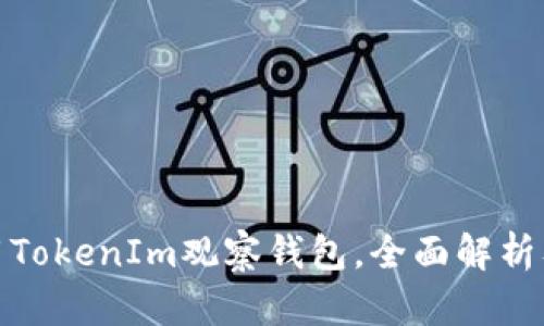 : 如何使用TokenIm观察钱包,全面解析及使用技巧
