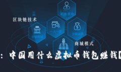 : 中国用什么虚拟币钱包赚钱？