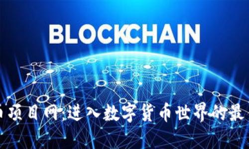 虚拟币项目网：进入数字货币世界的最佳选择