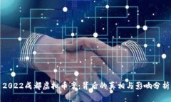 2022成都虚拟币案：背后的真相与影响分析