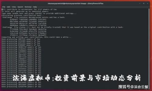 滨海虚拟币:投资前景与市场动态分析