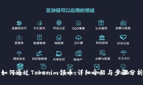 如何通过Tokenim领币:详细介绍与步骤分析
