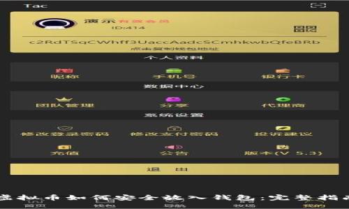 虚拟币如何安全放入钱包:完整指南
