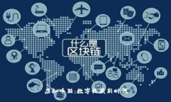 虚拟币猫：数字收藏新时代