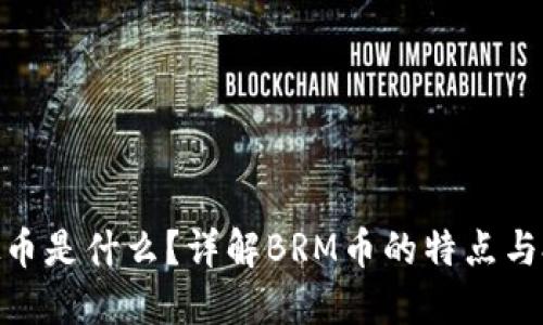 BRM虚拟币是什么?详解BRM币的特点与投资价值